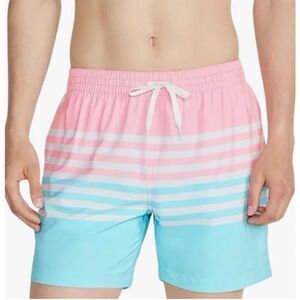 Chubbies Swim Trunks Mens Size S On The Horizons 5.5 in Stretch Lined Pocket